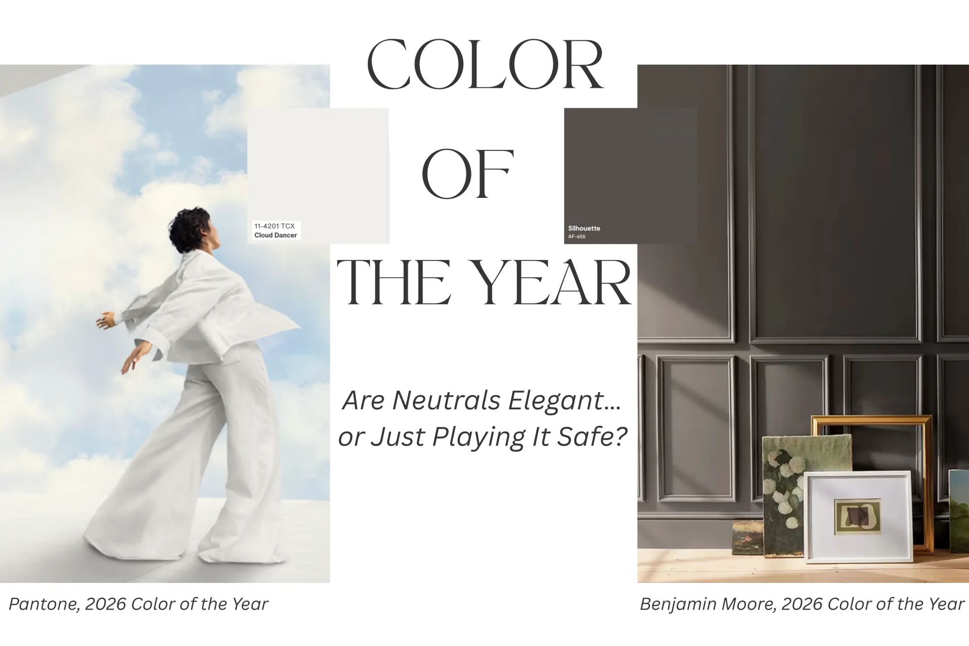 2026 Color Shock: Is Pantone Erasing Color… or Redefining It?